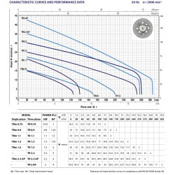 Pedrollo TRm0.75 modelio palyginimas
