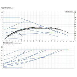Grundfos Magna1 40-100 F 220 cirkuliacinio siurblio kreivės pagal techninę specifikaciją