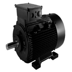 Grundfos TP 125-310/2 A-F-A-BQQE-QW1 linijinio vienpakopio siurblio variklis SIEMENS 180M