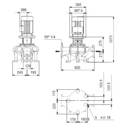 Grundfos TP 125-310/2 A-F-A-BQQE-QW1 linijinio vienpakopio siurblio schema