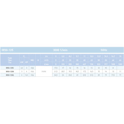 SAER IR50-125 išcentrinio siurblio techninė specifikacija