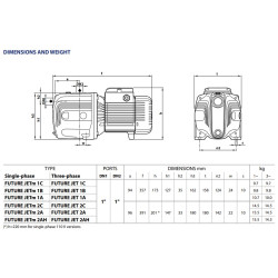 Pedrollo Future JETm 2AX 0.9kW 55m 120L/min. išmatavimai